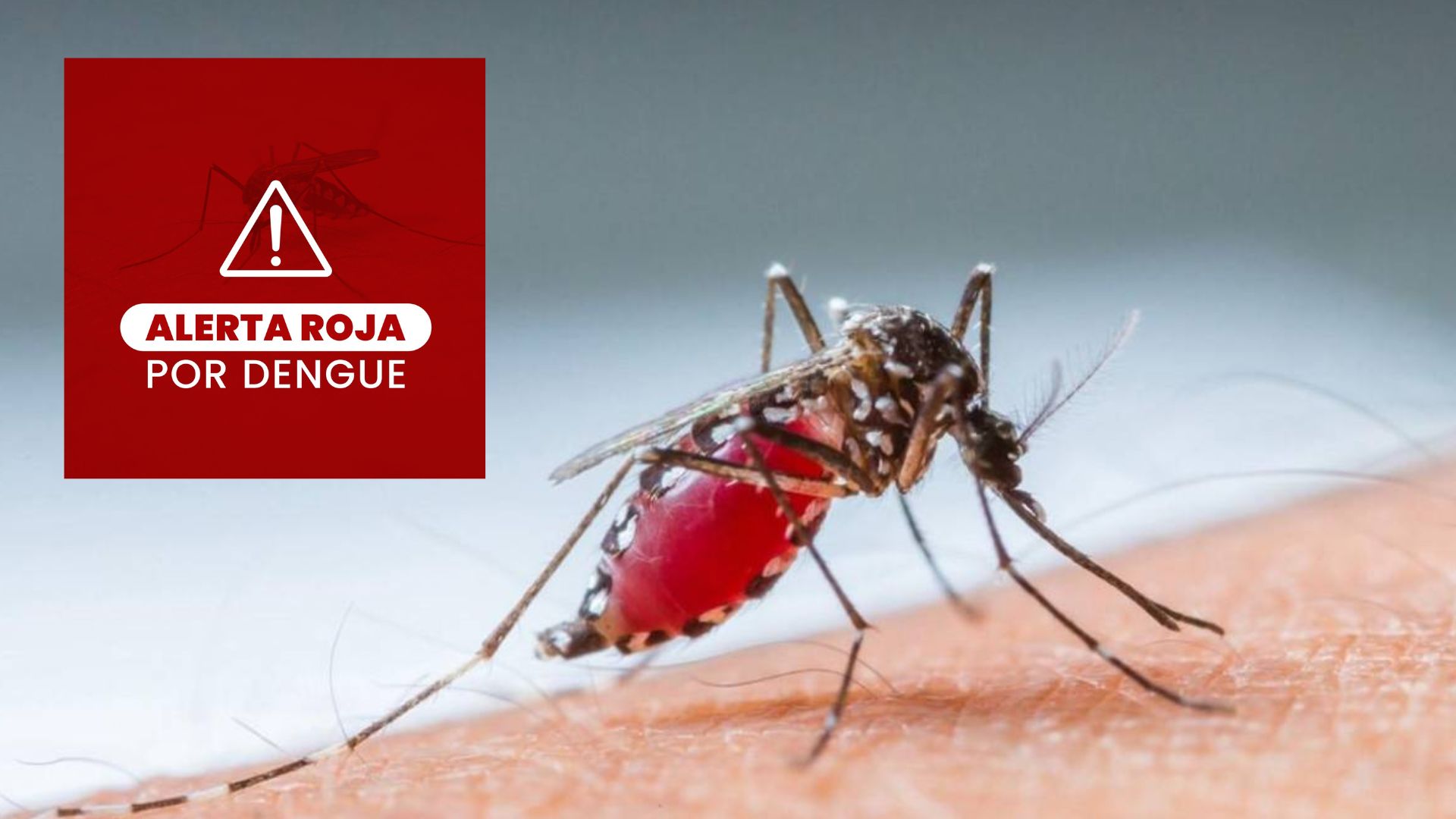 emiten-alerta-roja-nacional-por-dengue-en-el-salvador