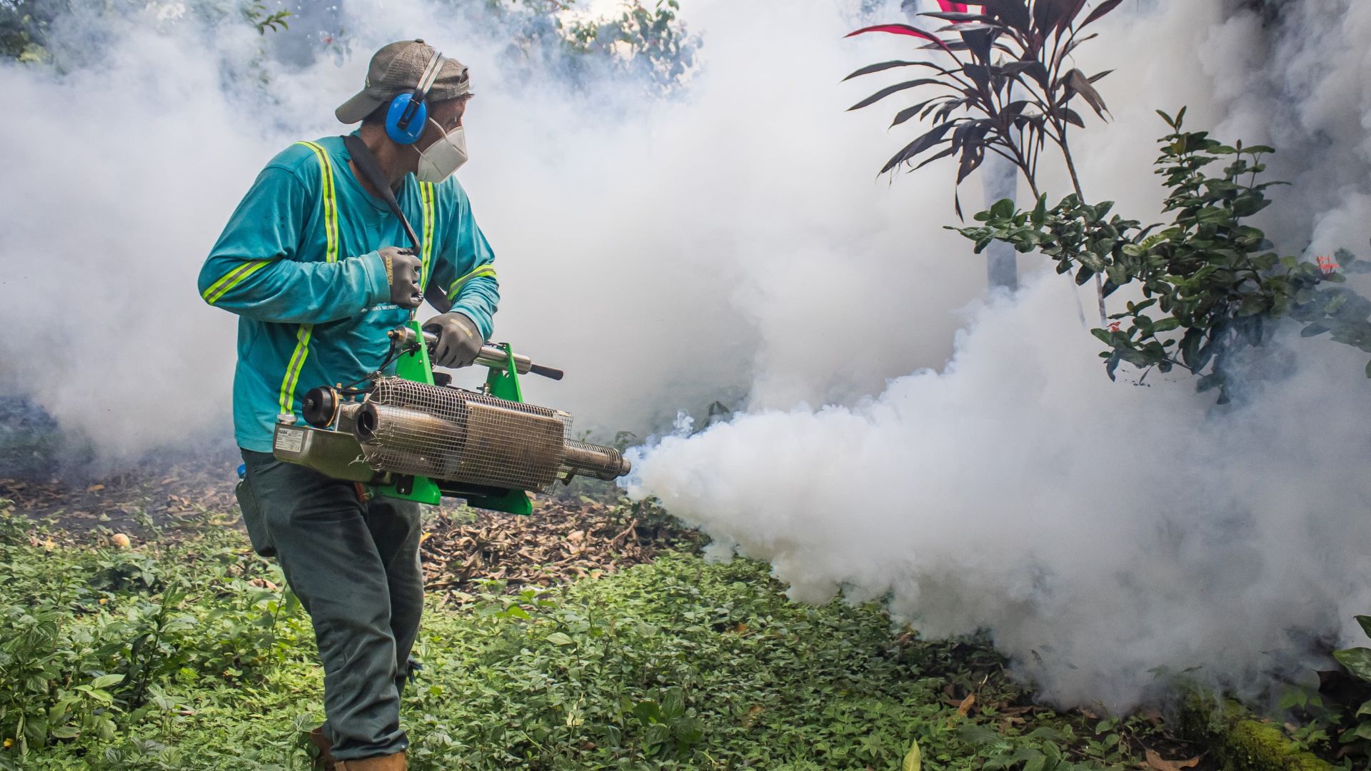 dom-continua-esfuerzos-para-evitar-propagacion-del-zancudo-trasmisor-del-dengue