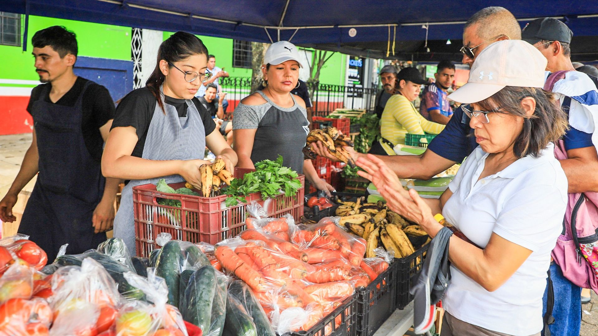 30-agro-mercados-ubicados-en-puntos-estrategicos-de-el-salvador