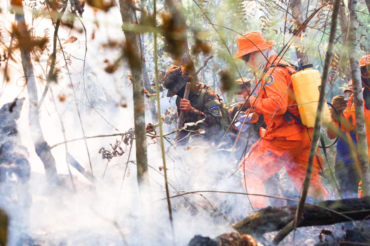 Instituciones del Gobierno, y ciudadanos, logran controlar el incendio en La Montañona instituciones-del-gobierno-y-ciudadanos-logran-controlar-el-incendio-en-la-montanona
