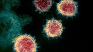 el-salvador-registra-177-casos-de-coronavirus-hasta-este-viernes