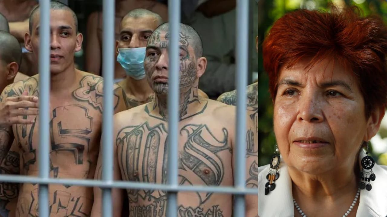 los-pandilleros-deberian-estar-en-programas-para-superar-sus-problemas-de-conductas-exmagistrada-de-arena-fmln