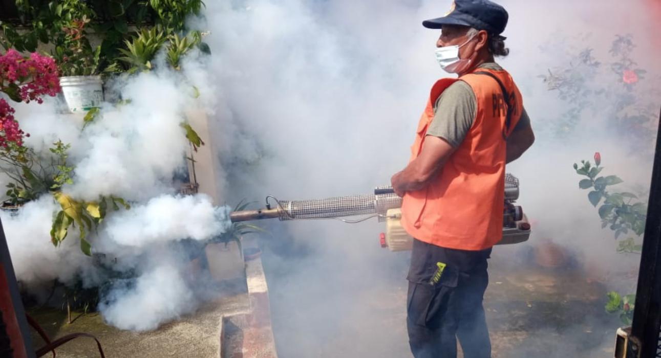 Gobierno ejecuta jornadas de fumigación como parte del #PlanInvernal2021 gobierno-ejecuta-jornadas-de-fumigacion-como-parte-del-planinvernal2021