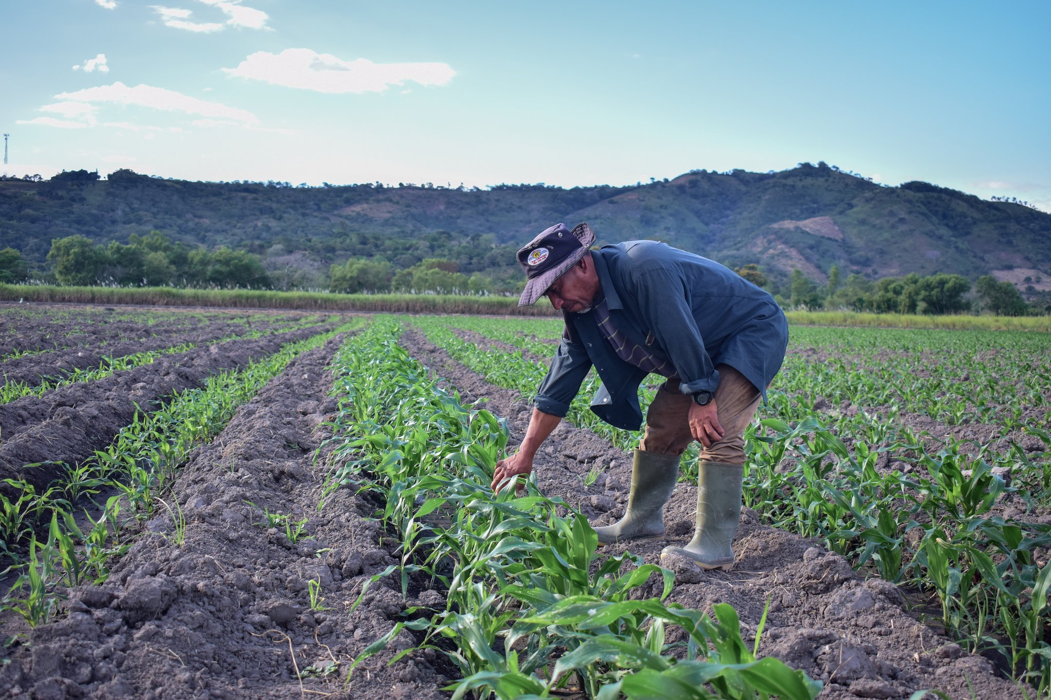 Agricultores salvadoreños tendrán acceso al “Mapeo Digital de Suelos” que hará sus cultivos más rentables agricultores-salvadorenos-tendran-acceso-al-mapeo-digital-de-suelos-que-hara-sus-cultivos-mas-rentables