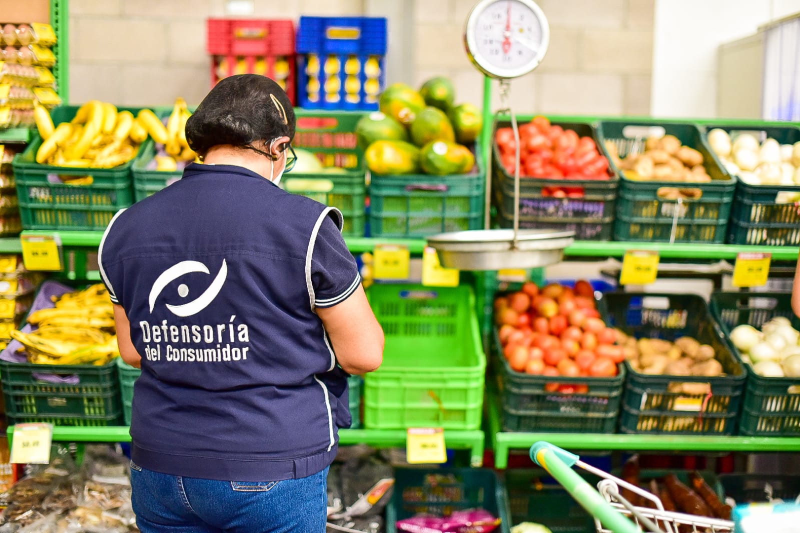 Presidente Bukele reduce gasto corriente pero no la inversión pública para no sacrificar el crecimiento económico presidente-bukele-reduce-gasto-corriente-pero-no-la-inversion-publica-para-no-sacrificar-el-crecimiento-economico