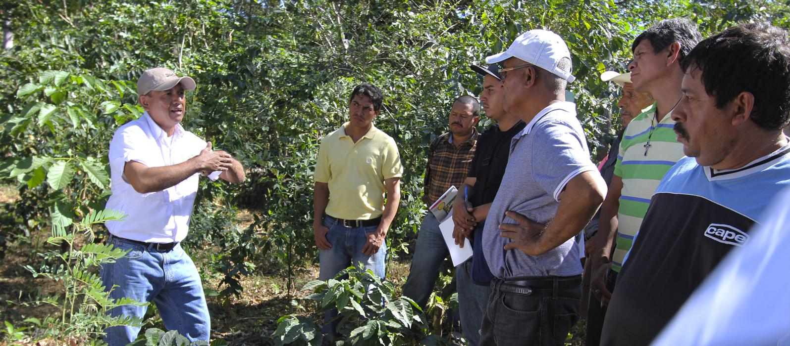 mag-y-centa-capacitan-gratuitamente-a-productores-del-pais