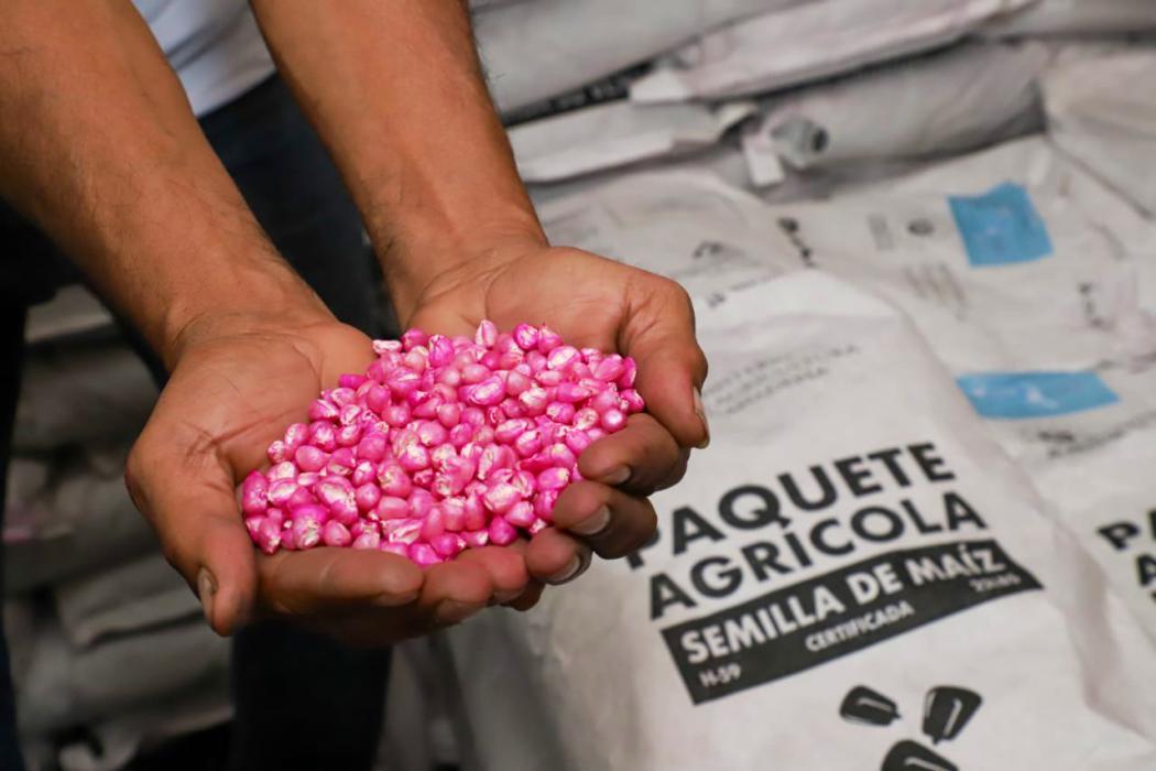 MAG habilita sitio web para consultar entrega de paquetes agrícolas mag-habilita-sitio-web-para-consultar-entrega-de-paquetes-agricolas