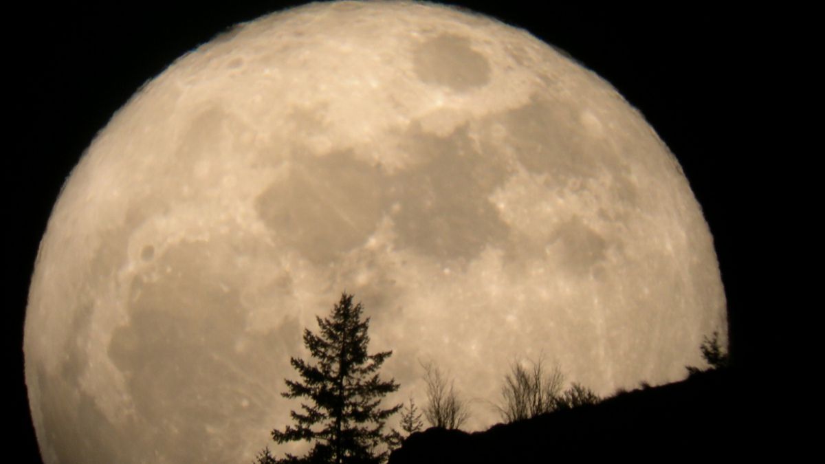 manana-podras-ver-la-luna-mas-grande-y-brillante-de-los-ultimos-68-anos