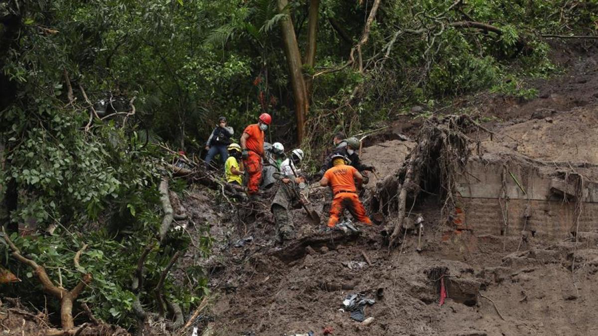 OPS afirma que el invierno y los huracanes afectarán en el combate contra el COVID19 en América ops-afirma-que-el-invierno-y-los-huracanes-afectaran-en-el-combate-contra-el-covid19-en-america