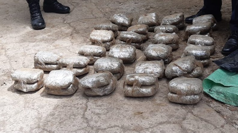 PNC da un duro golpe al narcotráfico y decomisa mercancía valorada en más de $26,000 pnc-da-un-duro-golpe-al-narcotrafico-y-decomisa-mercancia-valorada-en-mas-de-26000