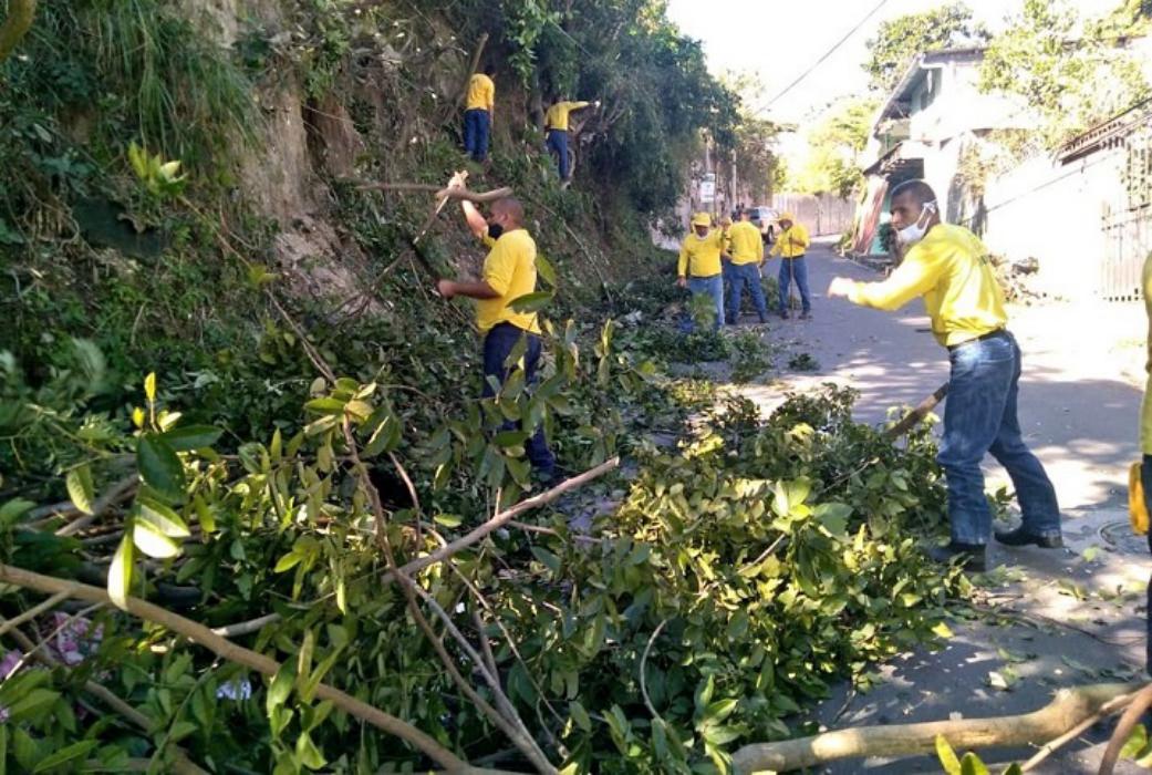 Reos en fase de confianza realizan jornada de limpieza y poda de árboles en San Salvador reos-en-fase-de-confianza-realizan-jornada-de-limpieza-y-poda-de-arboles-en-san-salvador
