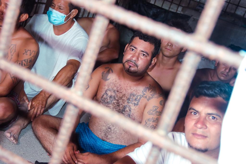 566 terroristas fueron capturados en las últimas 24 horas 566-terroristas-fueron-capturados-en-las-ultimas-24-horas