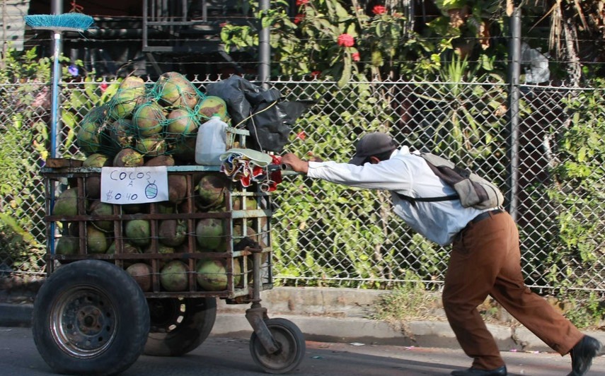 "Tengo que pelar 200 cocos para juntar la renta que le cobran los pandilleros a mi papá" tengo-que-pelar-200-cocos-para-juntar-la-renta-que-le-cobran-los-pandilleros-a-mi-papa