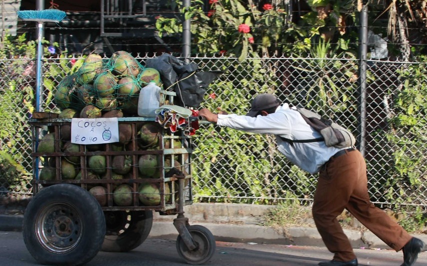 tengo-que-pelar-200-cocos-para-juntar-la-renta-que-le-cobran-los-pandilleros-a-mi-papa