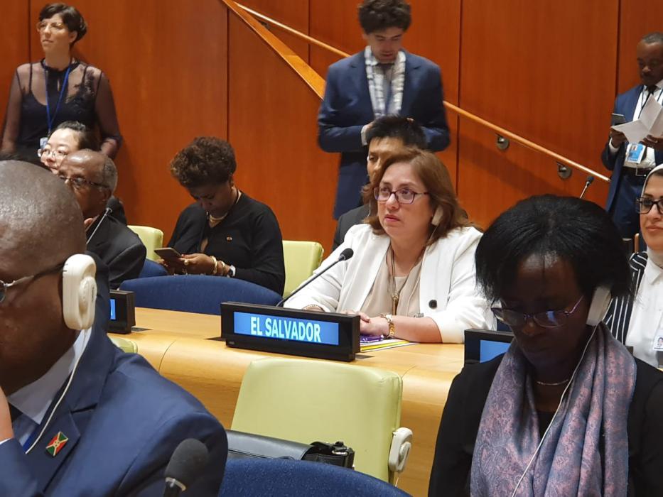 El Salvador se compromete ante la ONU a brindar cobertura sanitaria universal el-salvador-se-compromete-ante-la-onu-a-brindar-cobertura-sanitaria-universal