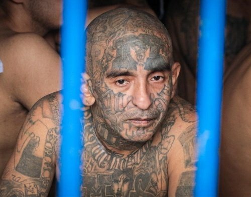 Más de 56 mil pandilleros han sido capturados durante el Régimen de Excepción mas-de-56-mil-pandilleros-han-sido-capturados-durante-el-regimen-de-excepcion