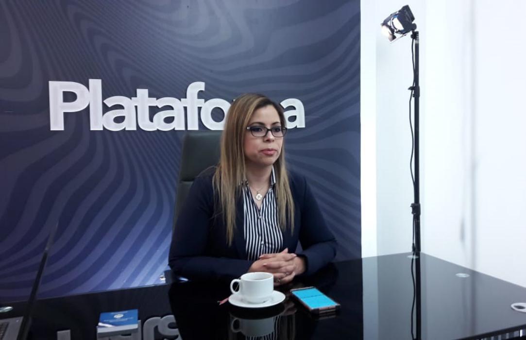 tahnya-pastor-los-diputados-estan-en-un-franco-incumplimiento-de-la-ley