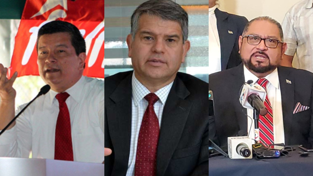 fmln-sumar-y-resistencia-ciudadana-han-presentado-candidatos-para-elecciones-presidenciales-2024