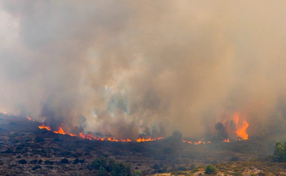 Incendio en España quema alrededor de 10 mil hectáreas incendio-en-espana-quema-alrededor-de-10-mil-hectareas