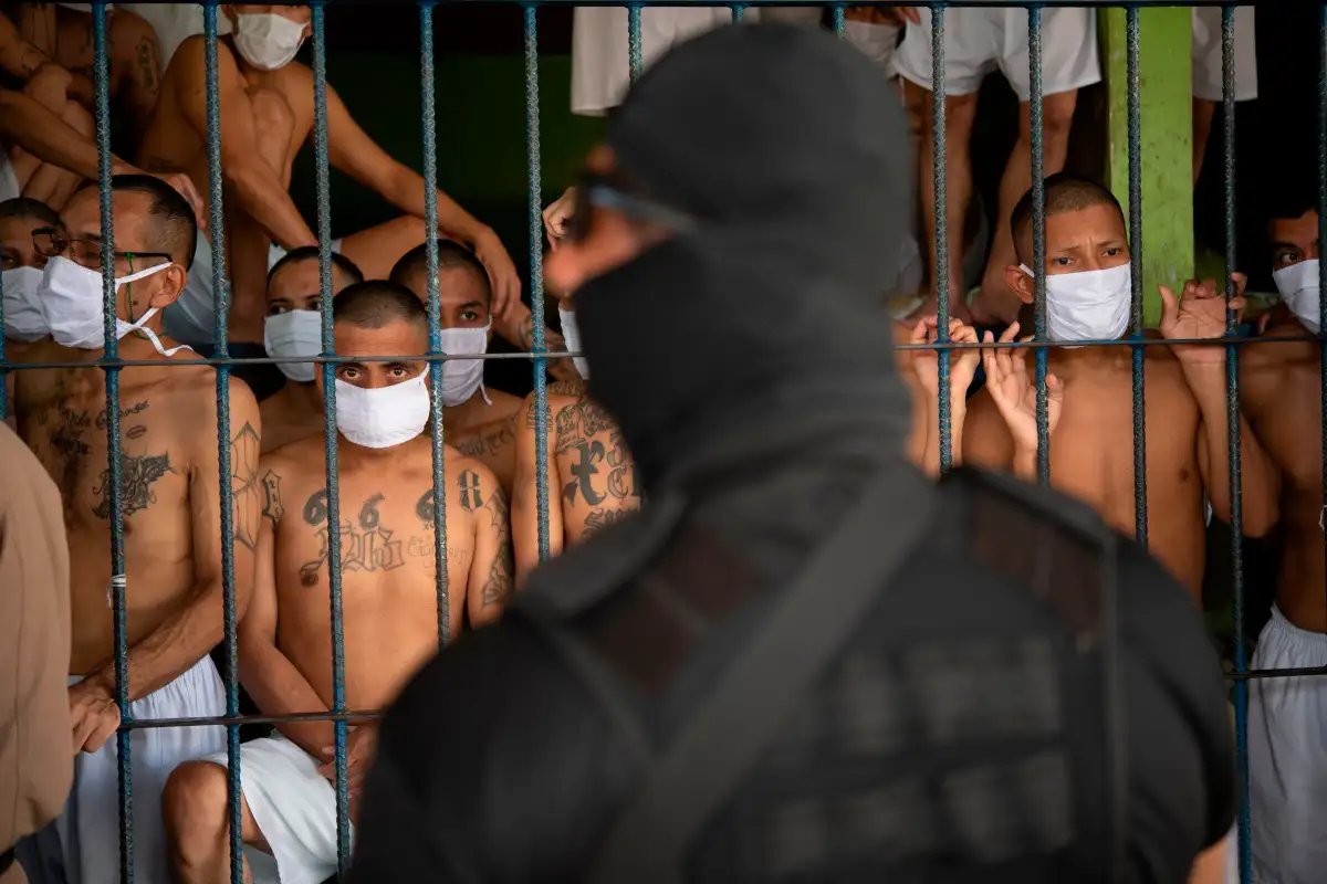 Más de 53 mil terroristas han sido capturados durante el Régimen de Excepción mas-de-53-mil-terroristas-han-sido-capturados-durante-el-regimen-de-excepcion