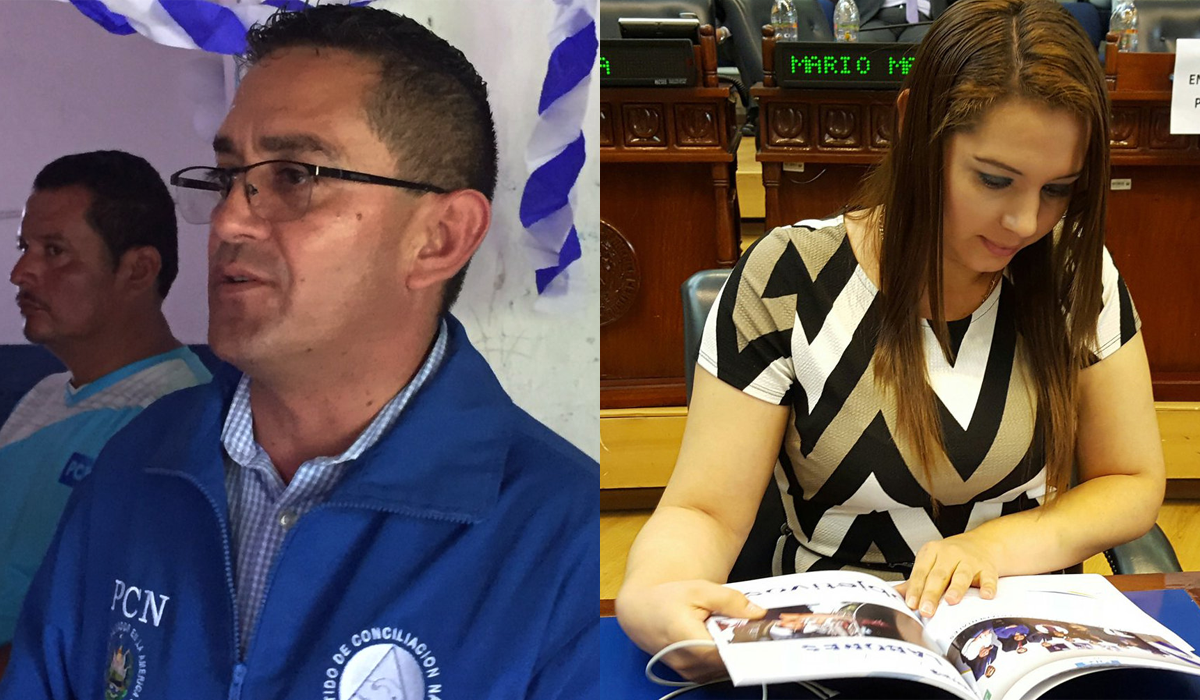 demandan-ante-el-teg-a-diputada-carolina-rodriguez-de-arena-y-a-reynaldo-cardoza-del-pcn