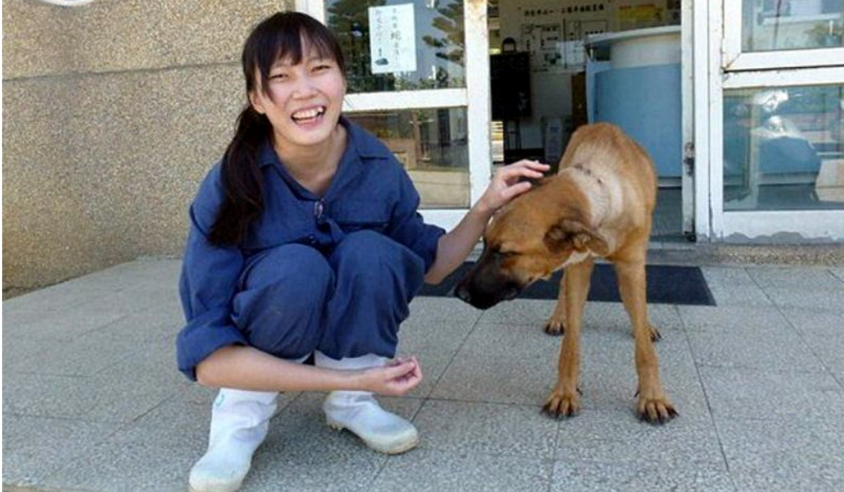 veterinaria-sacrifica-700-perros-y-luego-se-suicida