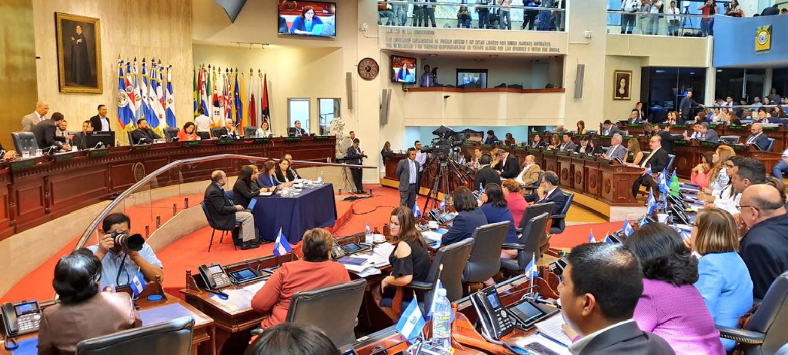 martel-los-diputados-que-solicitaron-interpelacion-demostraron-ignorancia-en-el-tema