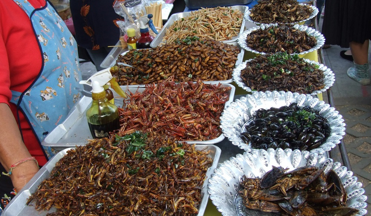 tailandia-exportara-insectos-a-europa-para-consumo-humano