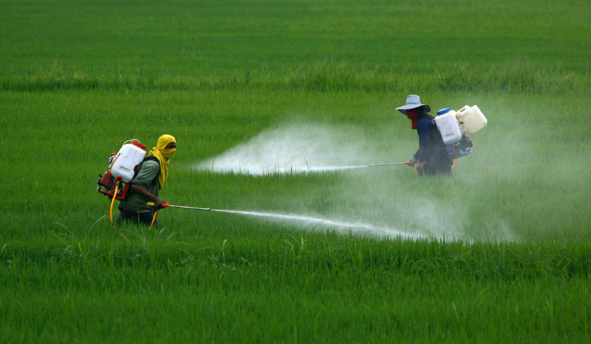 5-millones-le-cuestan-al-estado-intoxicados-por-pesticidas