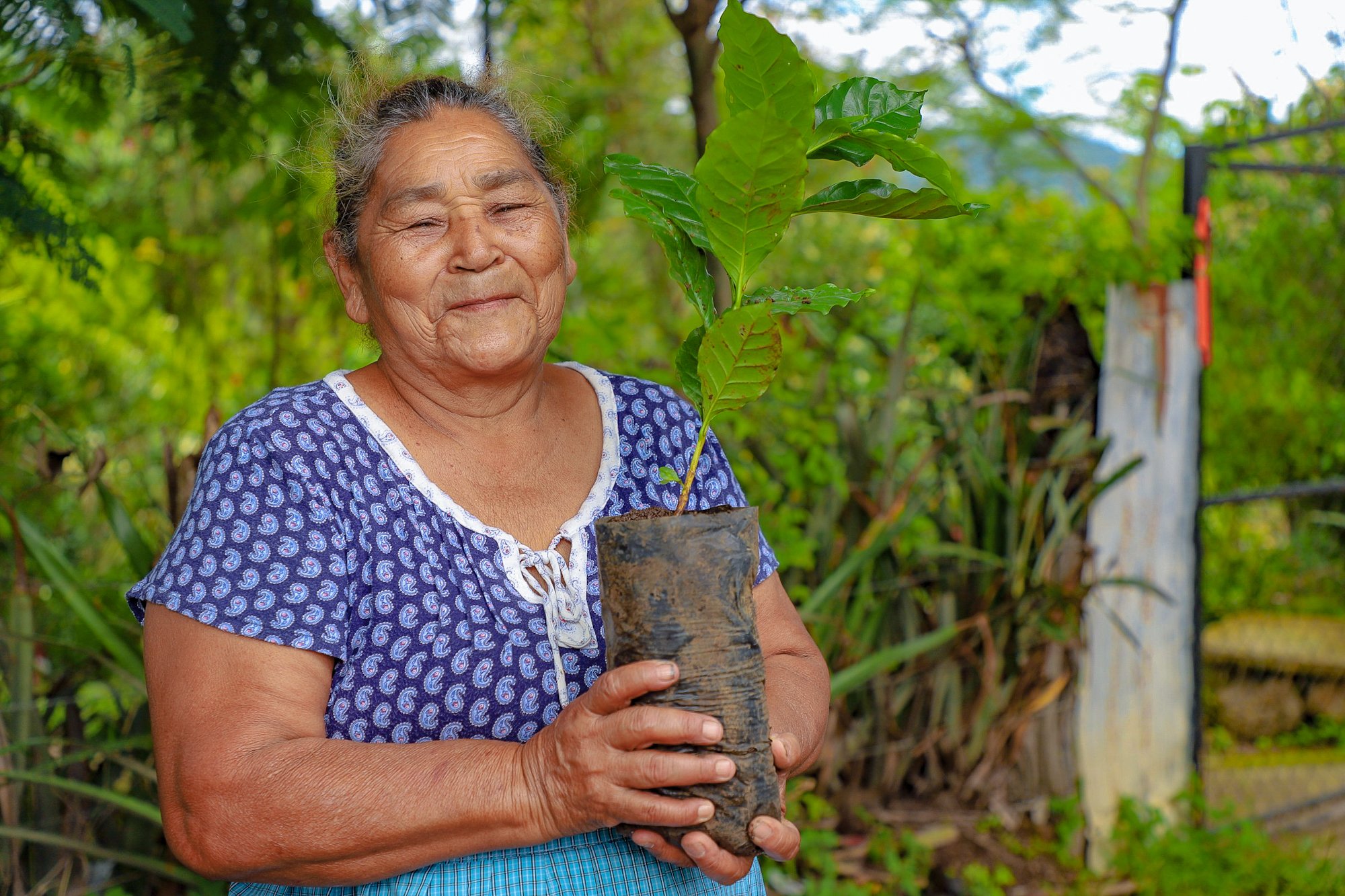 mas-de-1000-agricultores-se-han-visto-beneficiados-por-el-programa-de-resiliencia-climatica-en-el-2022