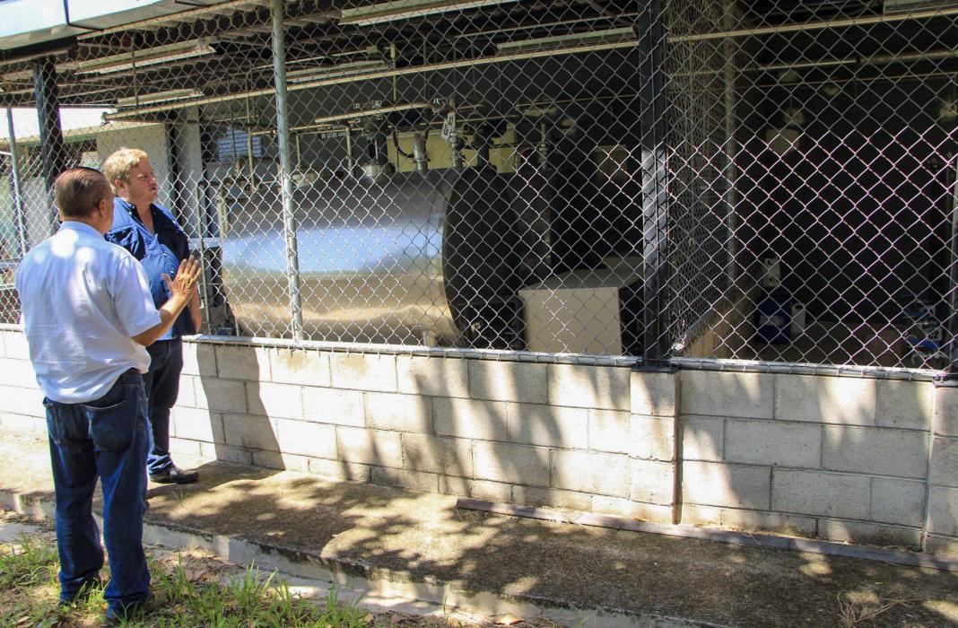 MAG pondrá a funcionar Planta Lechera deshabilitada por el FMLN mag-pondra-a-funcionar-planta-lechera-deshabilitada-por-el-fmln