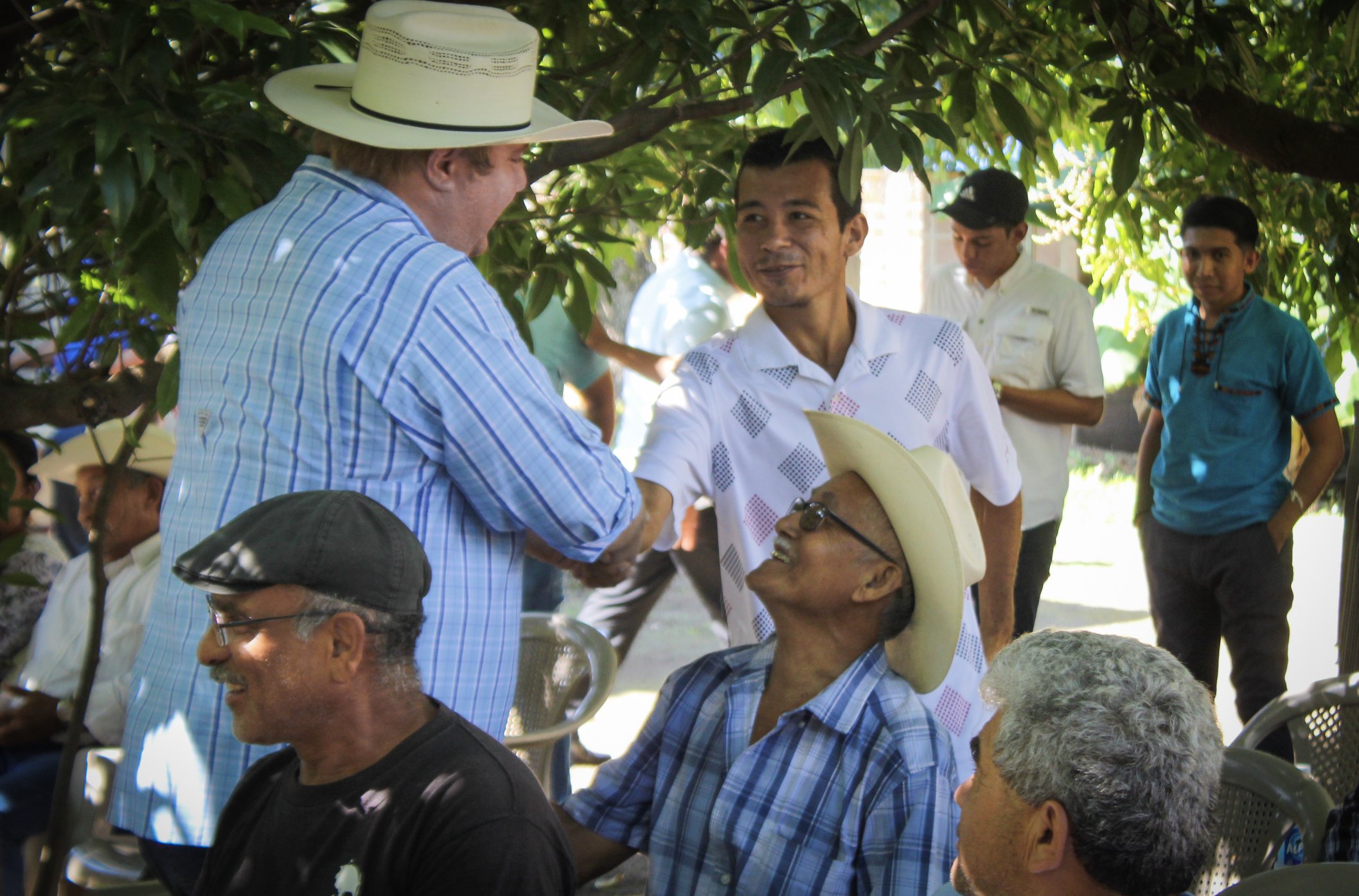 Ministerio de Agricultura apuesta por reactivar tierras ociosas en el país ministerio-de-agricultura-apuesta-por-reactivar-tierras-ociosas-en-el-pais