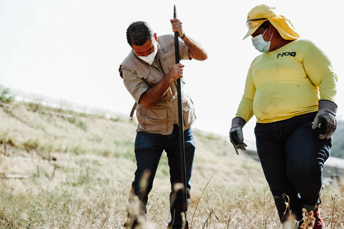 Ambiente y MOP preparan el terreno para reforestar el tramo del bypass de La Libertad ambiente-y-mop-preparan-el-terreno-para-reforestar-el-tramo-del-bypass-de-la-libertad