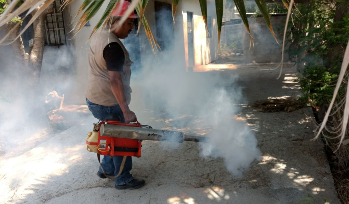 El Salvador logra contener epidemia de dengue que afecta a Centroamérica y el Caribe el-salvador-logra-contener-epidemia-de-dengue-que-afecta-a-centroamerica-y-el-caribe