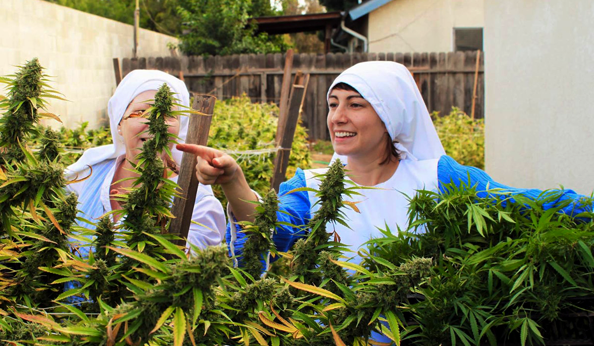 las-monjas-que-se-hacen-ricas-cultivando-marihuana