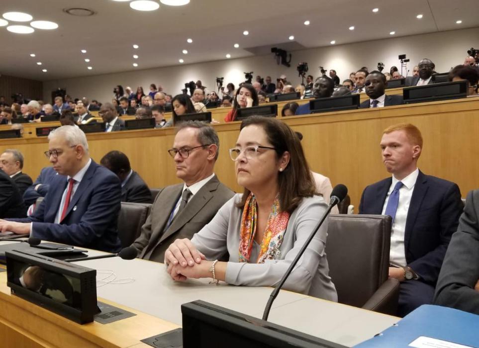 Canciller busca cooperación entre El Salvador y otros países en Foro de New York canciller-busca-cooperacion-entre-el-salvador-y-otros-paises-en-foro-de-new-york