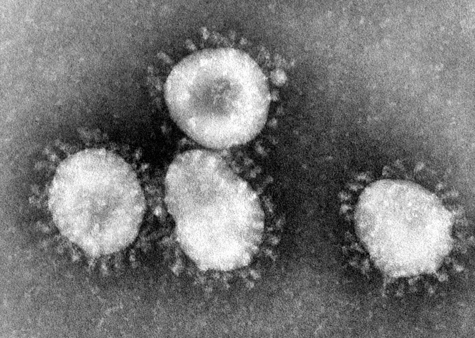 Gabinete de Salud continúa labores preventivas contra brote de Coronavirus gabinete-de-salud-continua-labores-preventivas-contra-brote-de-coronavirus