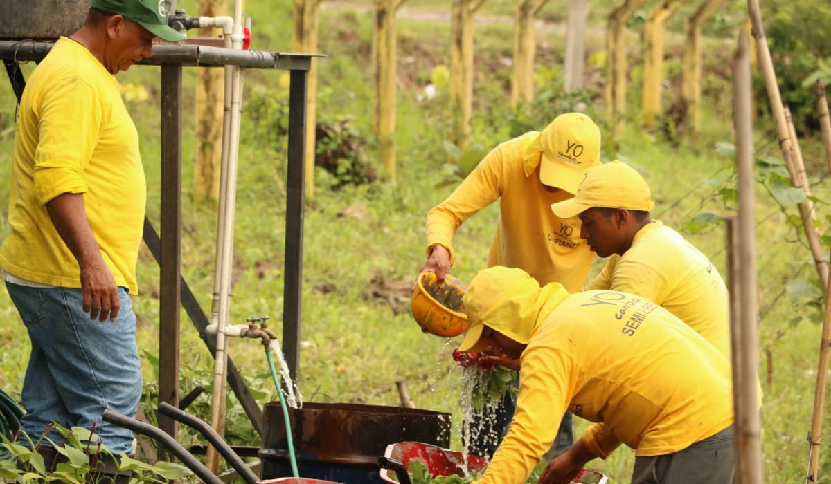 El Estado ahorrará $5 millones con la producción de alimentos en el penal La Esperanza el-estado-ahorrara-5-millones-con-la-produccion-de-alimentos-en-el-penal-la-esperanza
